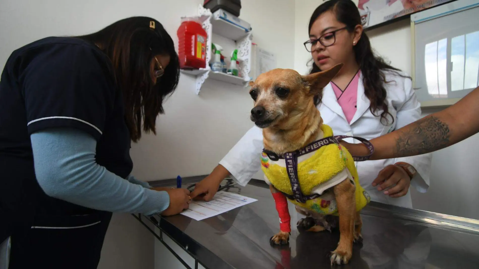 Clínica veterinaria UATx (1)